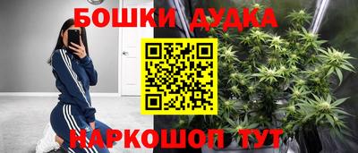 a pvp Лесосибирск