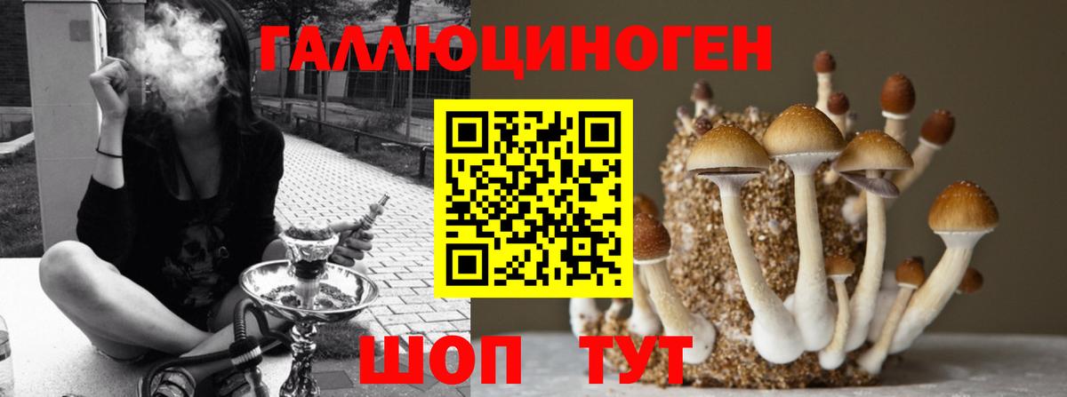 Галлюциногенные грибы MAGIC MUSHROOMS  Вход с VPN  Йошкар-Ола 